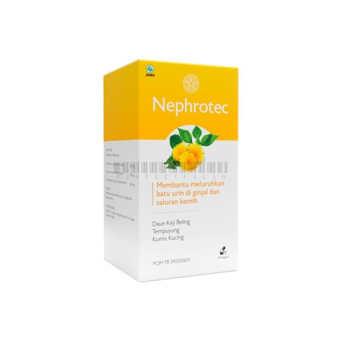 Nephrotec ▪ kidney stone capsules ▪ in Jember