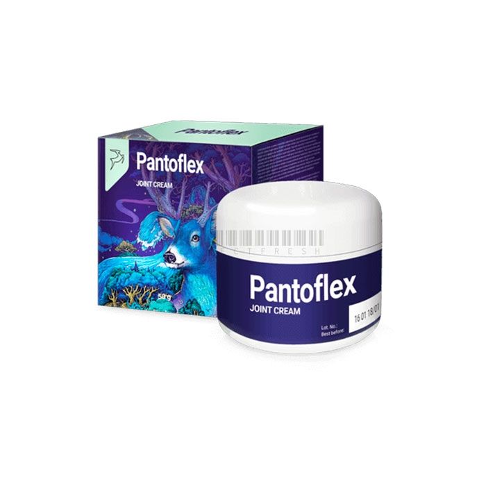 Pantoflex ▪ cream for joints ▪ in Al Ahmadi